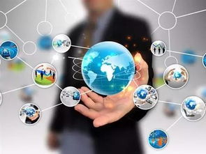 網絡賦能，智慧監管 新區農產品質量安全的新范式